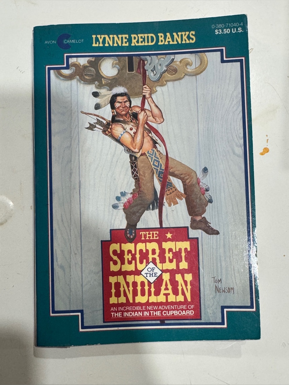 Scarlett the Indian Paperback Book - Teal Cover